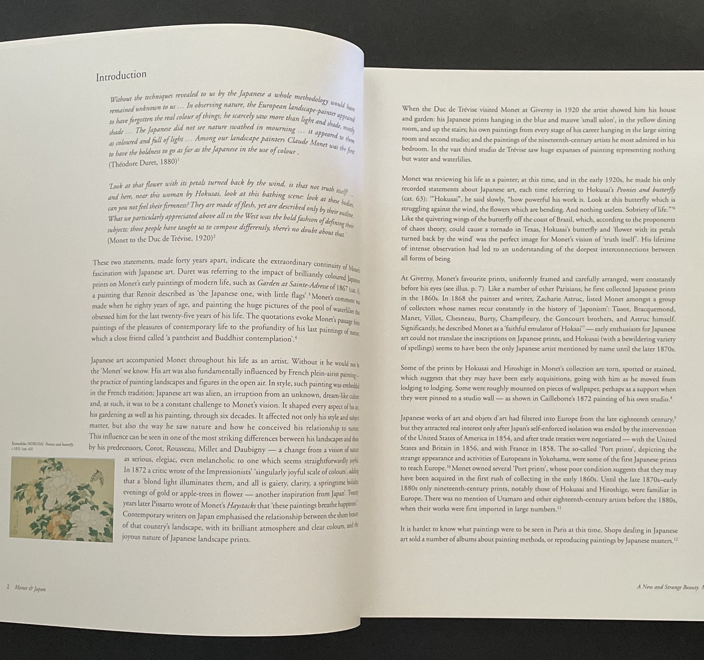 Monet & Japan by Claude Monet, National Gallery of Australia