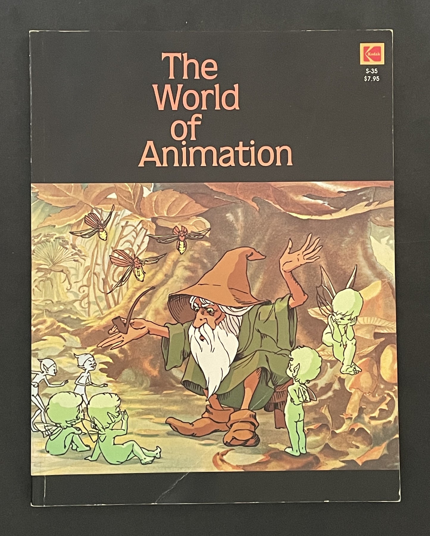 The World of Animation by Raul da Silva