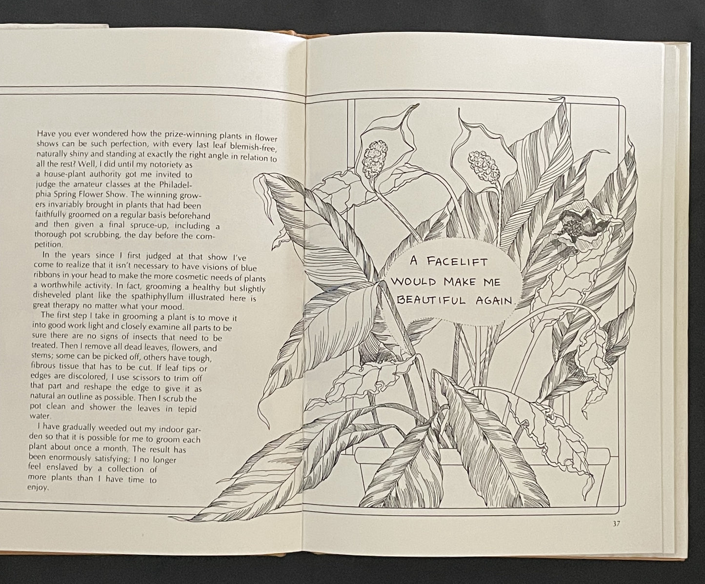 Stop Talking to Your Plants and Listen by Elvin McDonald