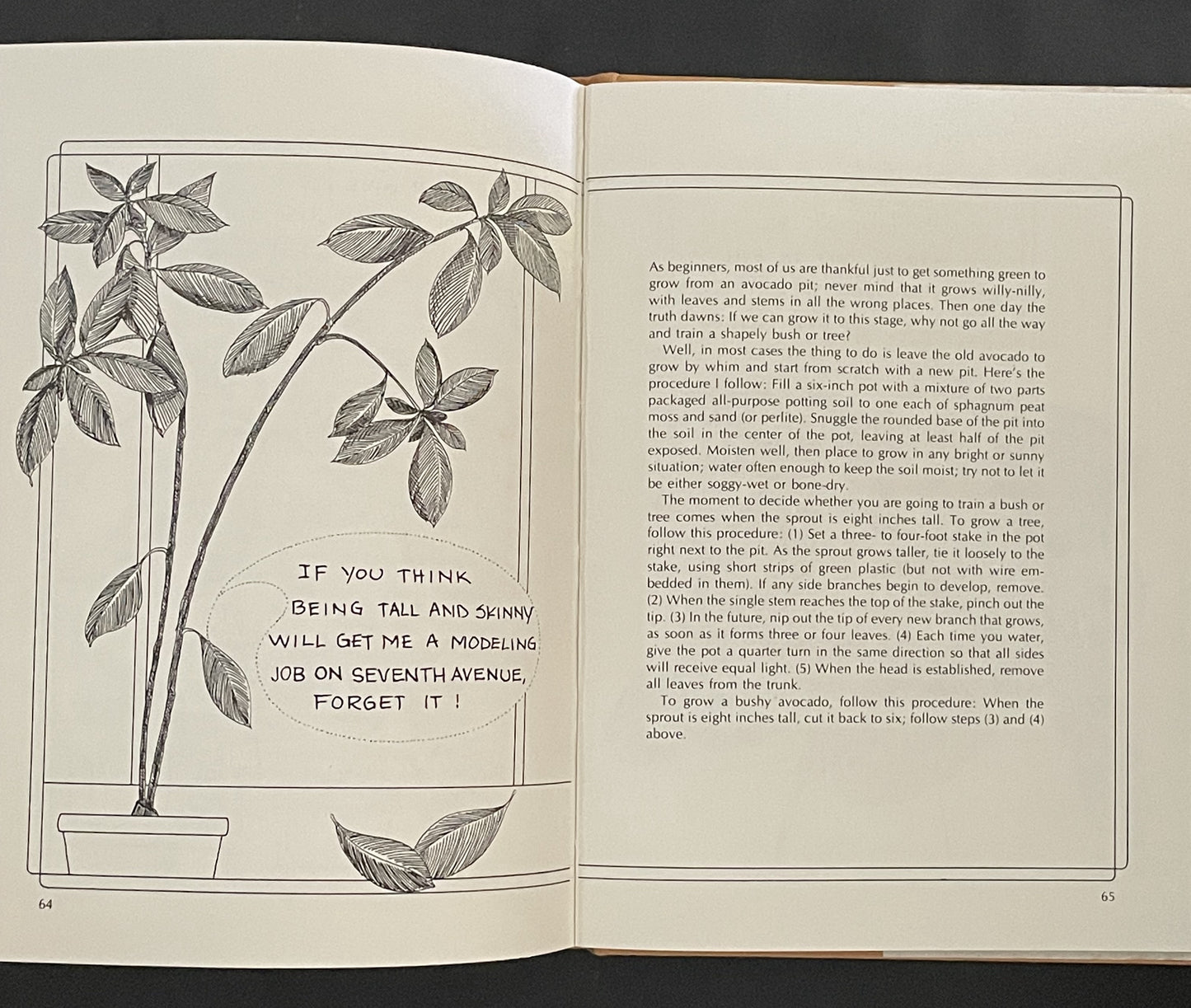 Stop Talking to Your Plants and Listen by Elvin McDonald