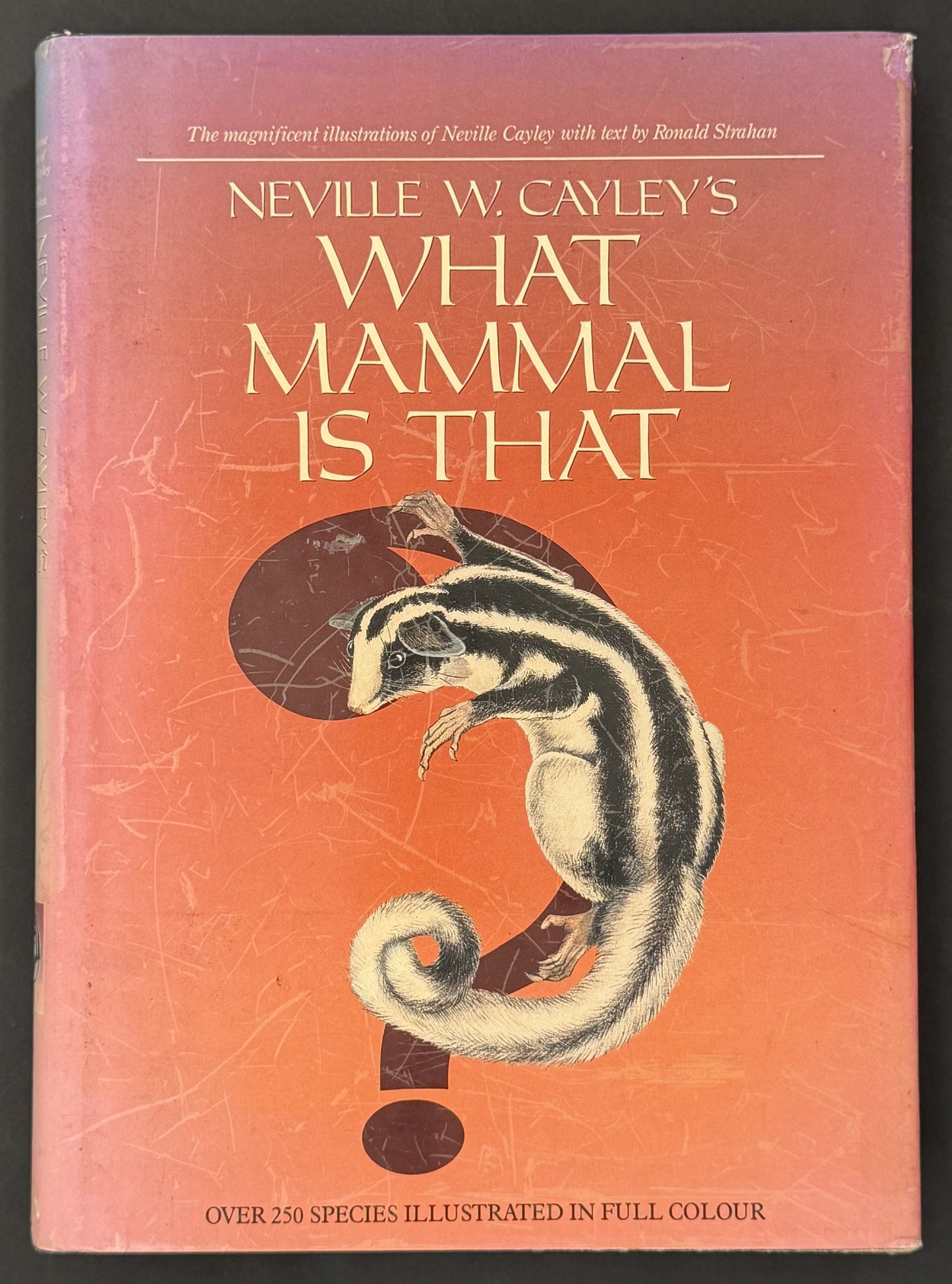 What Mammal is That? by Ronald Strahan, Neville William Cayley