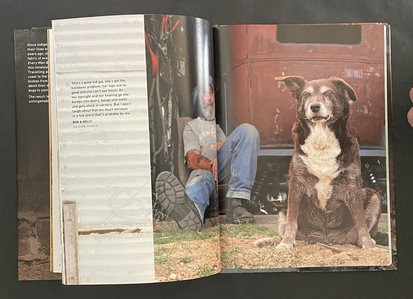 Every Man and His Dog by David Darcy