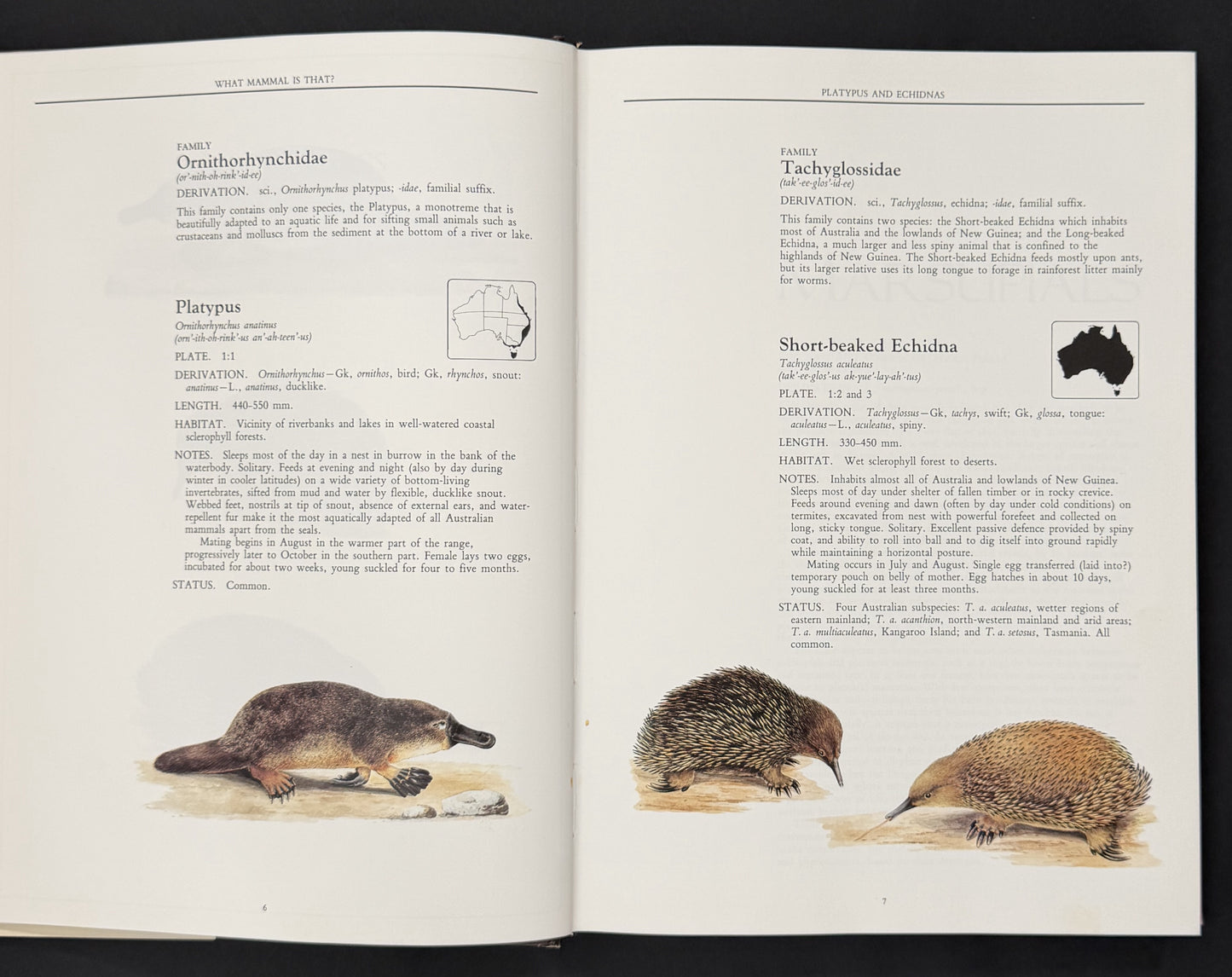 What Mammal is That? by Ronald Strahan, Neville William Cayley
