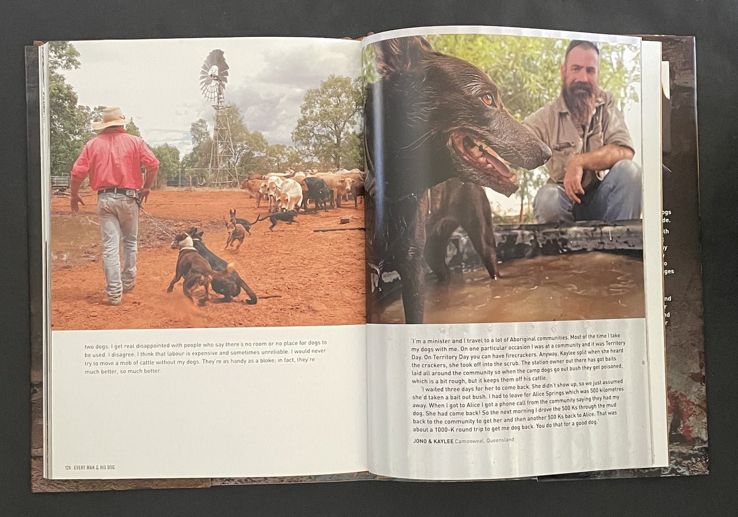 Every Man and His Dog by David Darcy