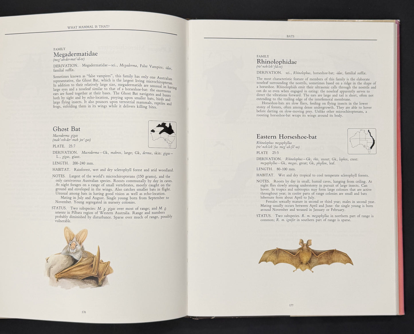 What Mammal is That? by Ronald Strahan, Neville William Cayley