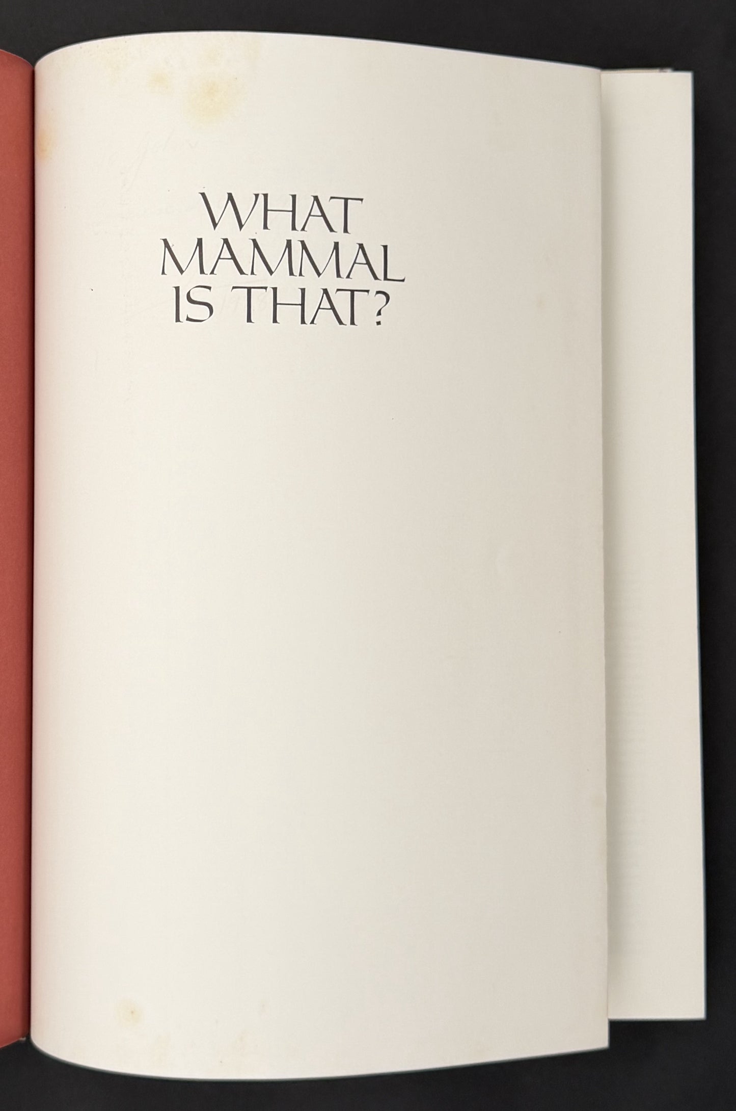 What Mammal is That? by Ronald Strahan, Neville William Cayley