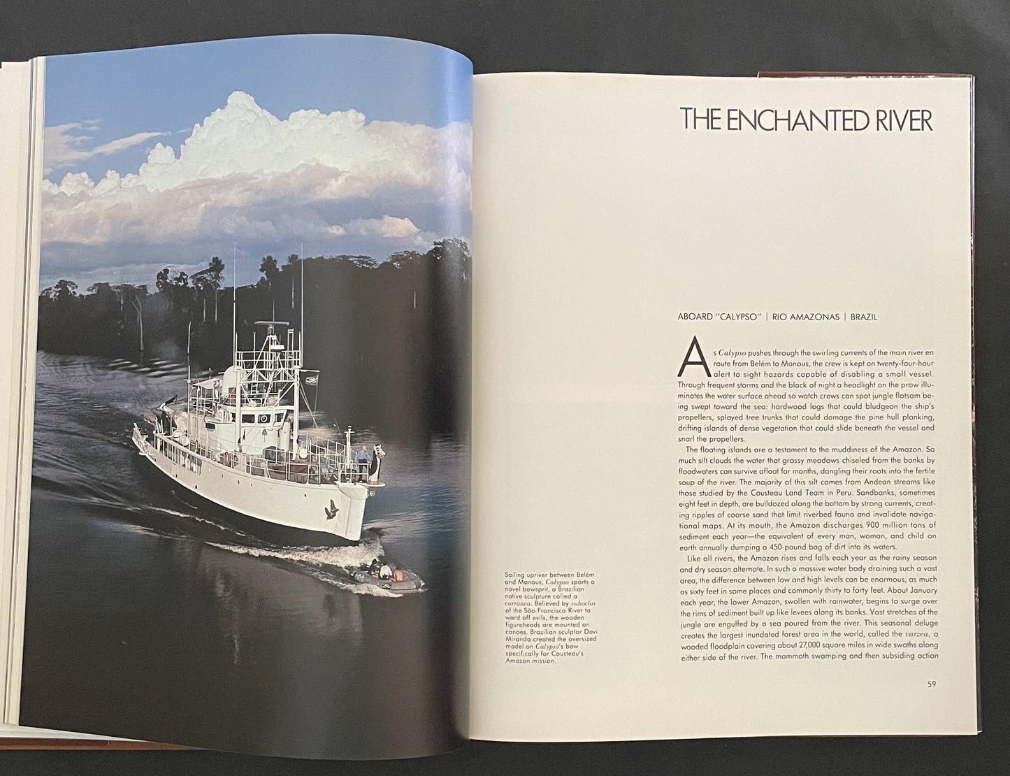 Jacques Cousteau's Amazon Journey by Jacques Yves Cousteau et al.