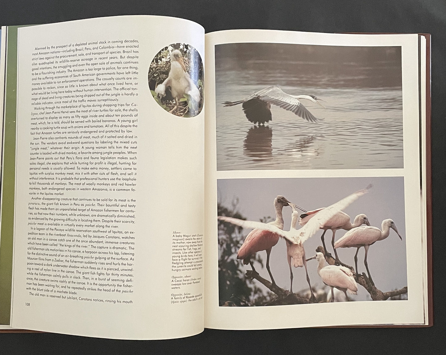 Jacques Cousteau's Amazon Journey by Jacques Yves Cousteau et al.