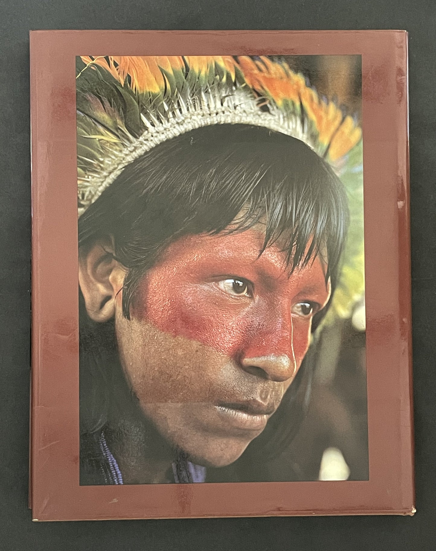 Jacques Cousteau's Amazon Journey by Jacques Yves Cousteau et al.