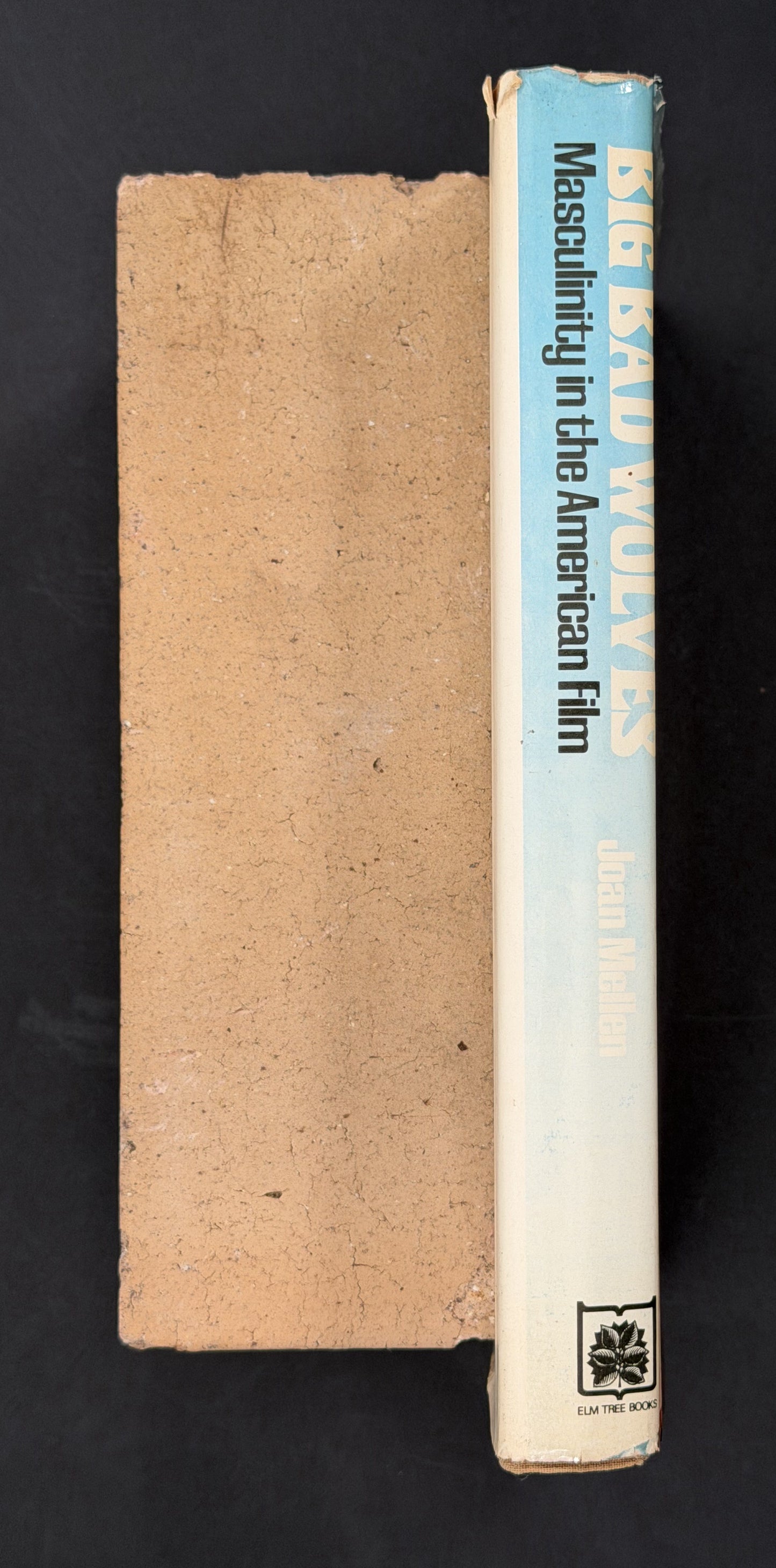 Big Bad Wolves by Joan Mellen