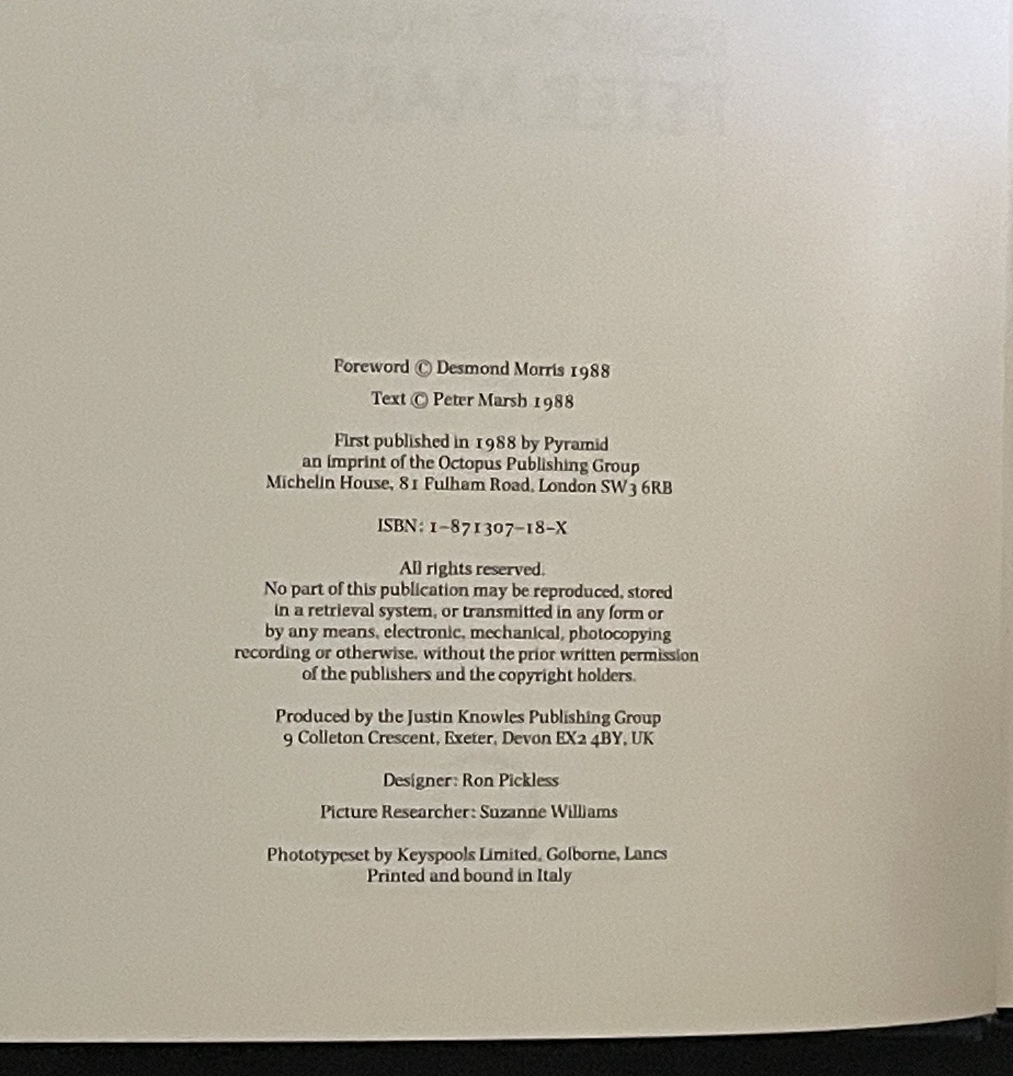 Tribes by Peter E. Marsh, Desmond Morris