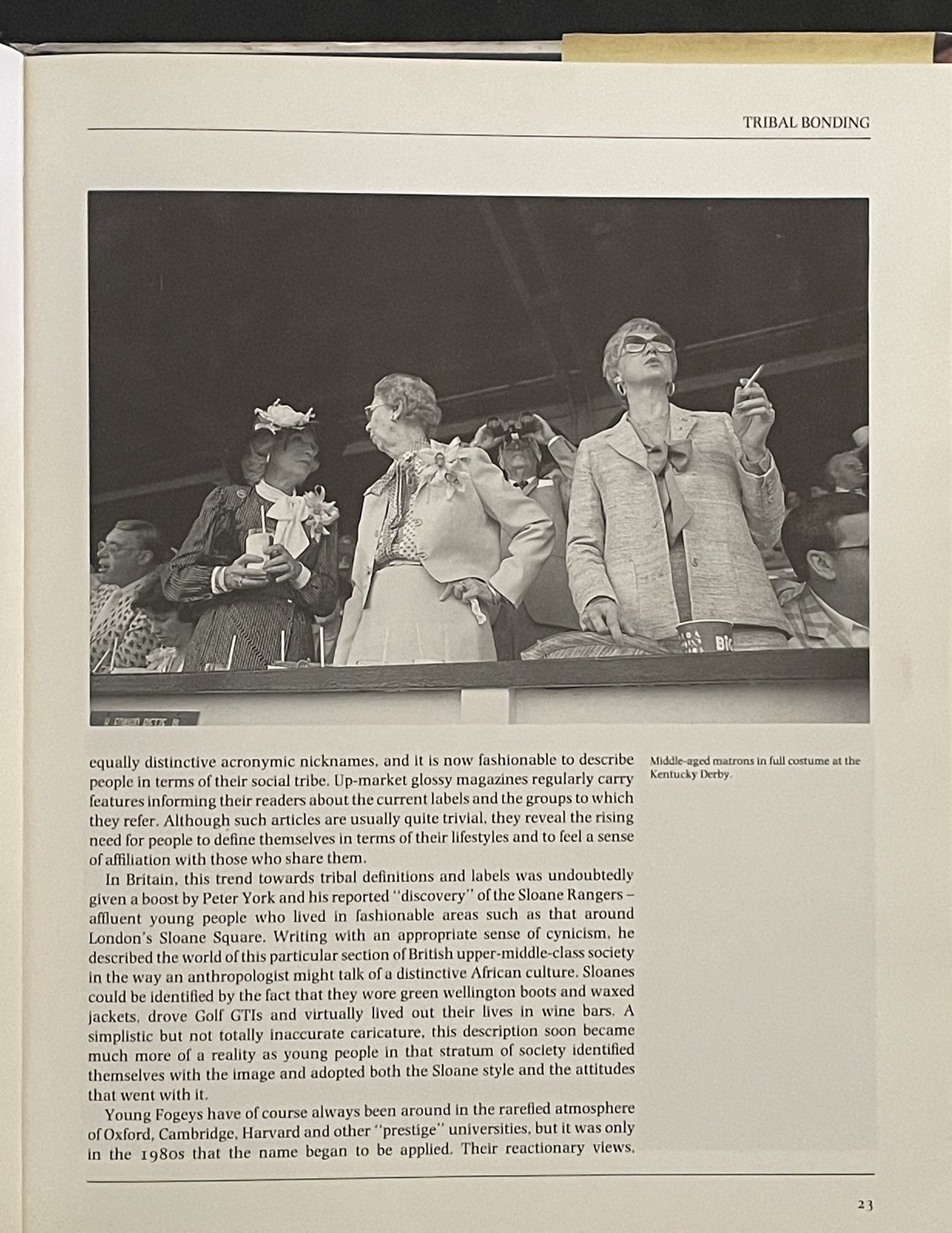 Tribes by Peter E. Marsh, Desmond Morris