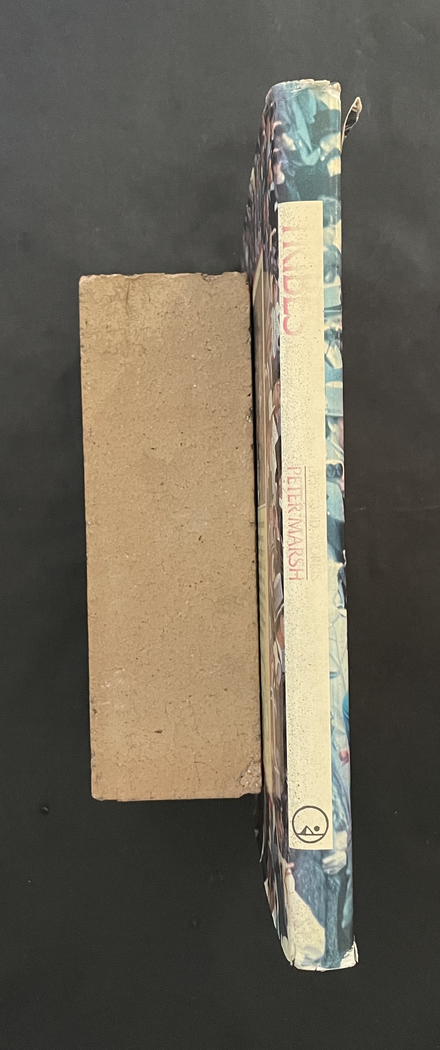 Tribes by Peter E. Marsh, Desmond Morris