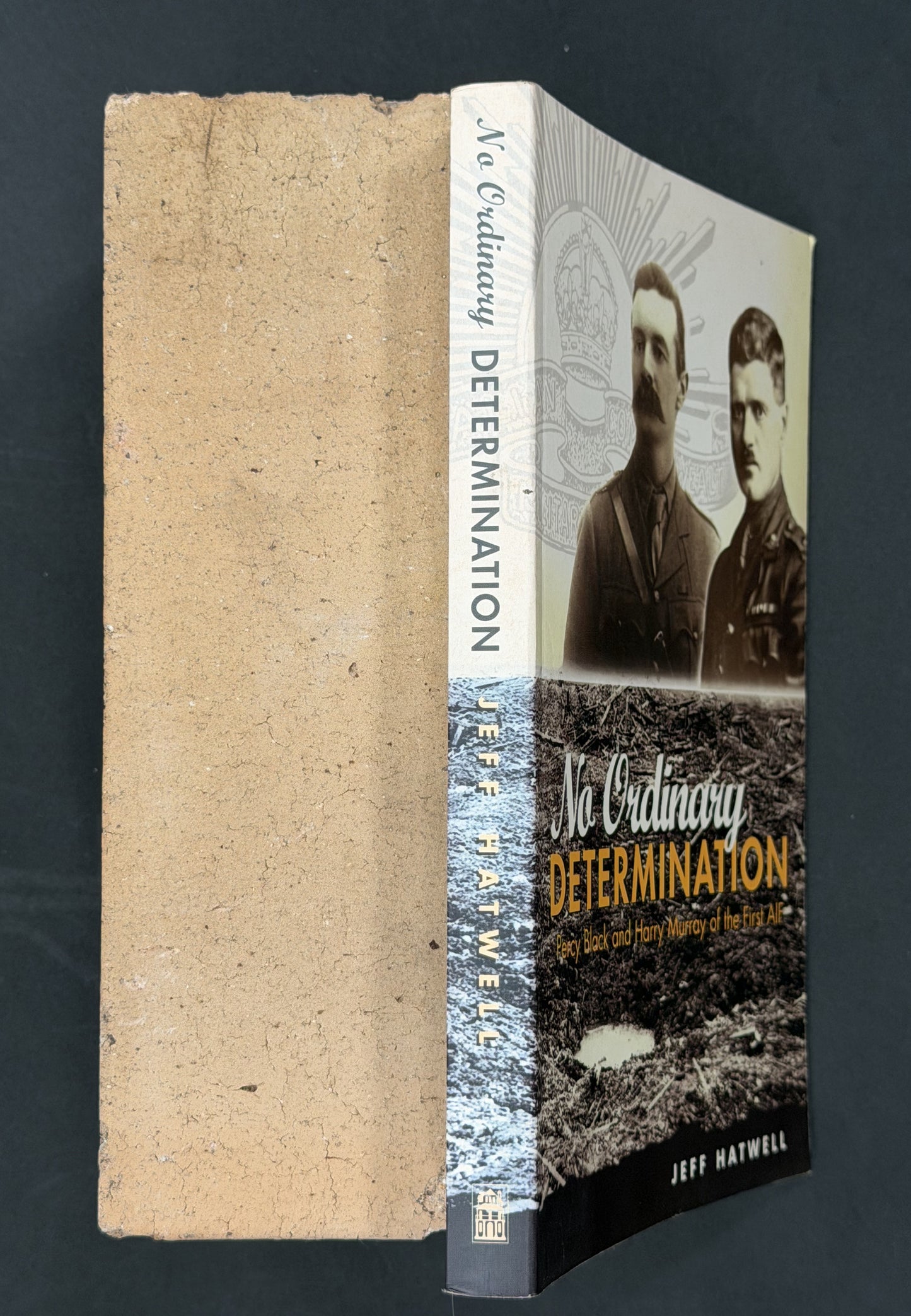 No Ordinary Determination by Jeff Hatwell