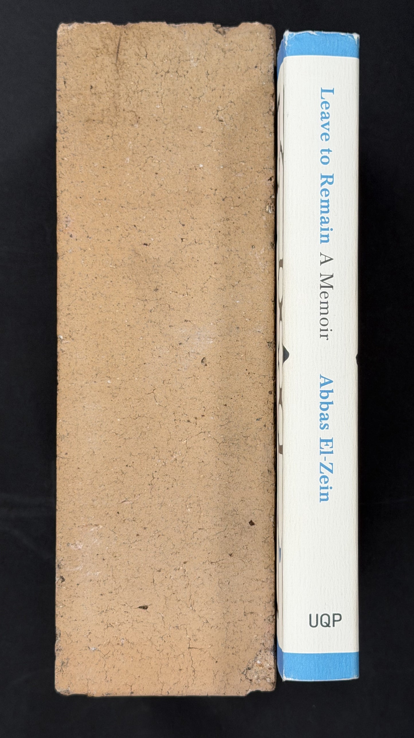 Leave to Remain by Abbas El-Zein