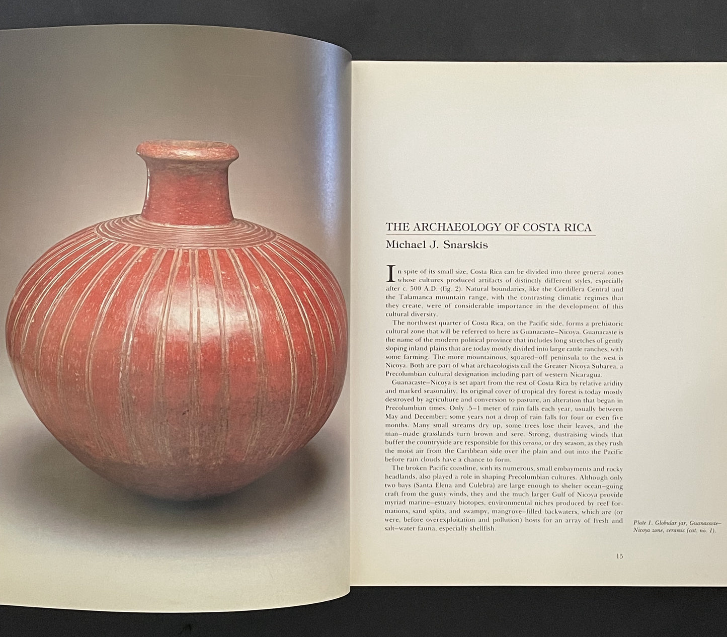 Between Continents/between Seas by Suzanne Abel-Vidor