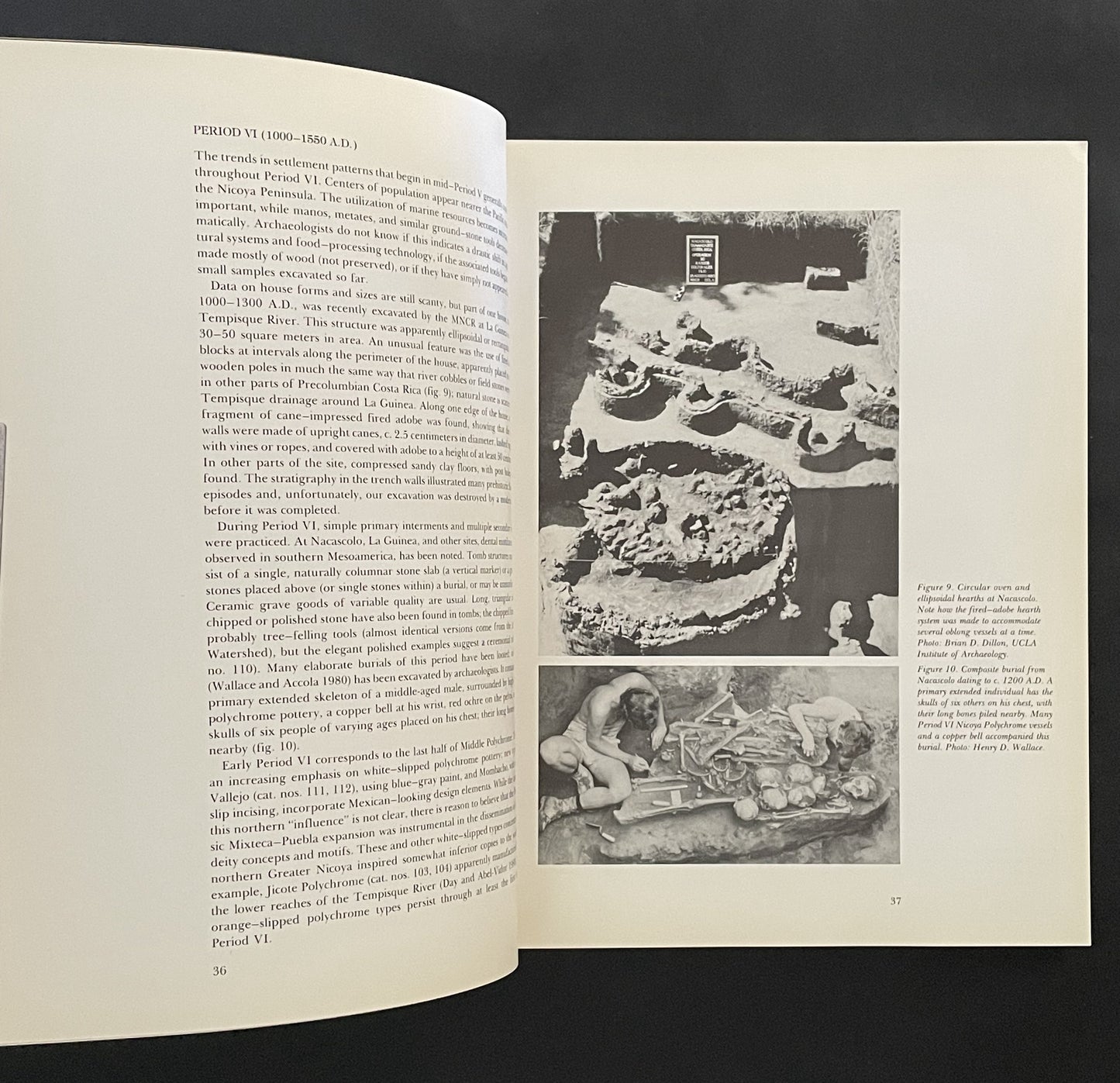 Between Continents/between Seas by Suzanne Abel-Vidor