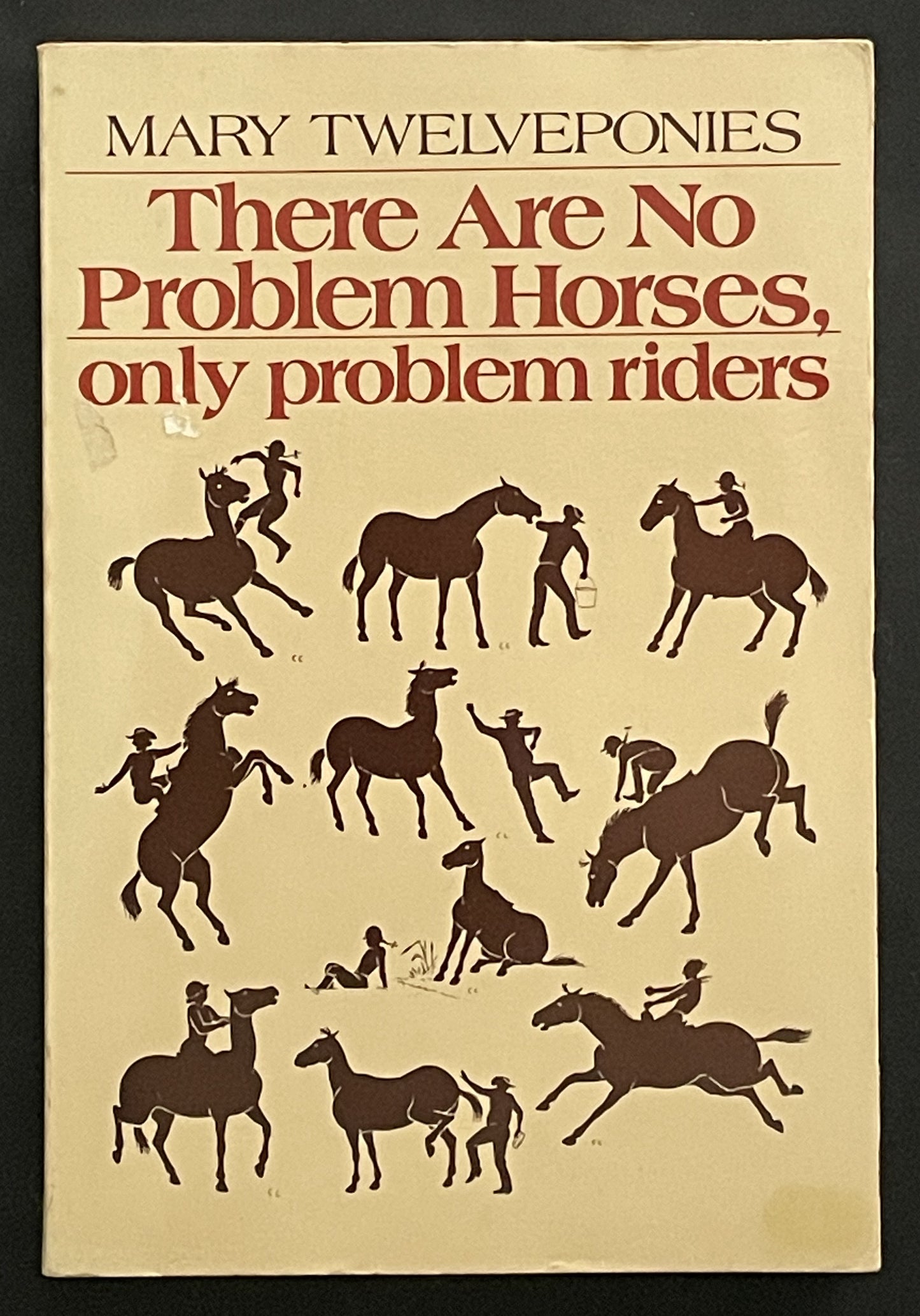 There Are No Problem Horses, Only Problem Riders by Mary Twelveponies