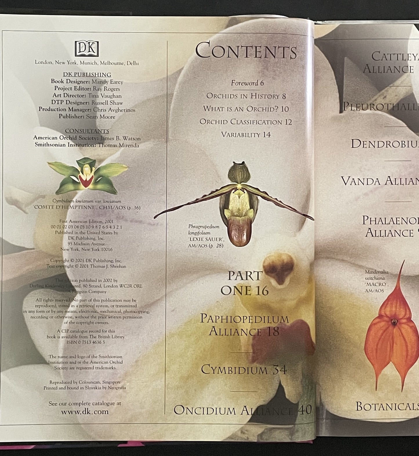Ultimate Orchid by Thomas John Sheehan