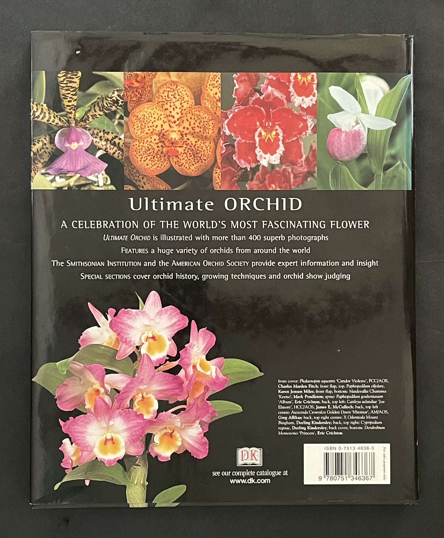 Ultimate Orchid by Thomas John Sheehan