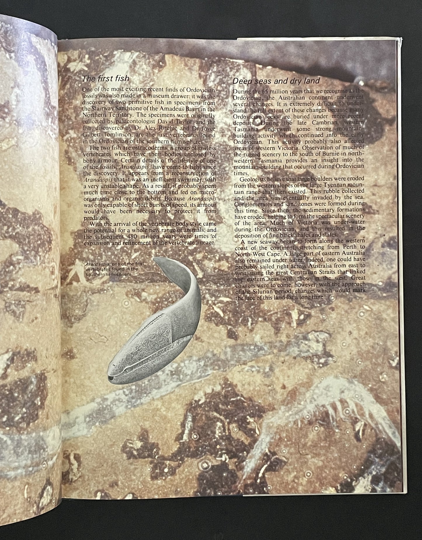 Prehistoric Australia by Brian Mackness