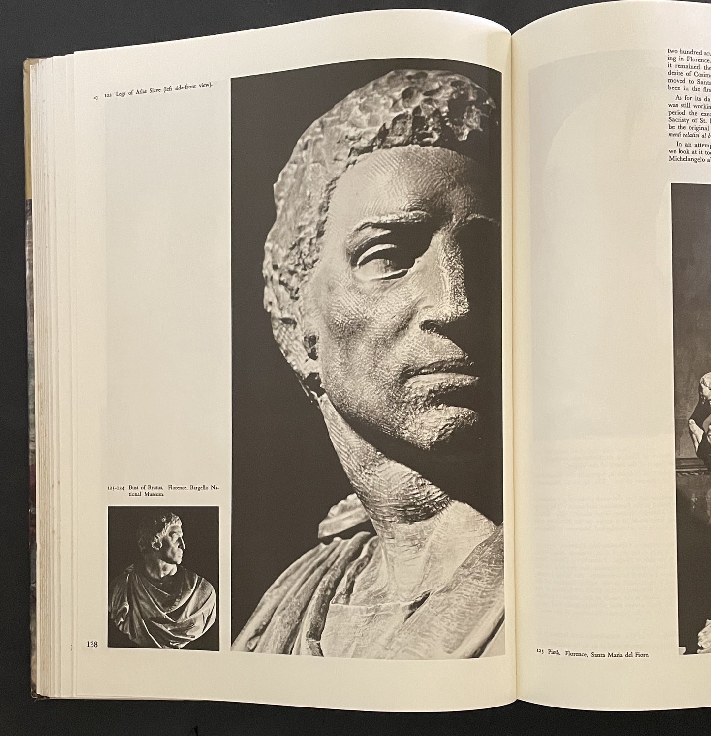 The complete work of MICHELANGELO