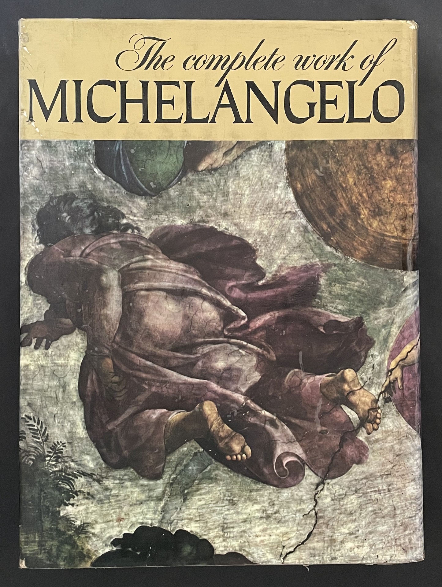 The complete work of MICHELANGELO