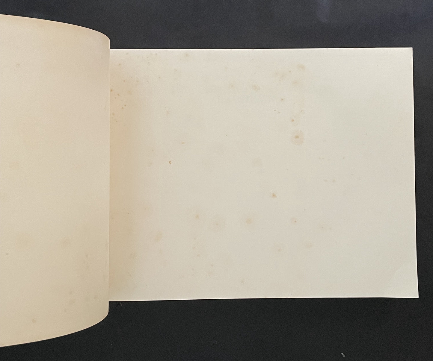 The Complete Encyclopedia of Illustration by Johann Georg Heck