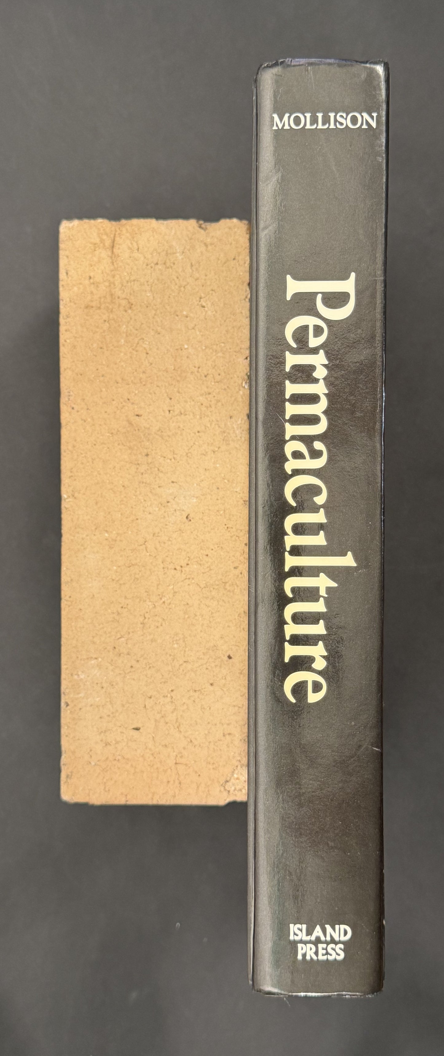 Permaculture by B. C. Mollison