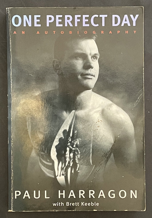 One Perfect Day by Paul Harragon, Brett Keeble