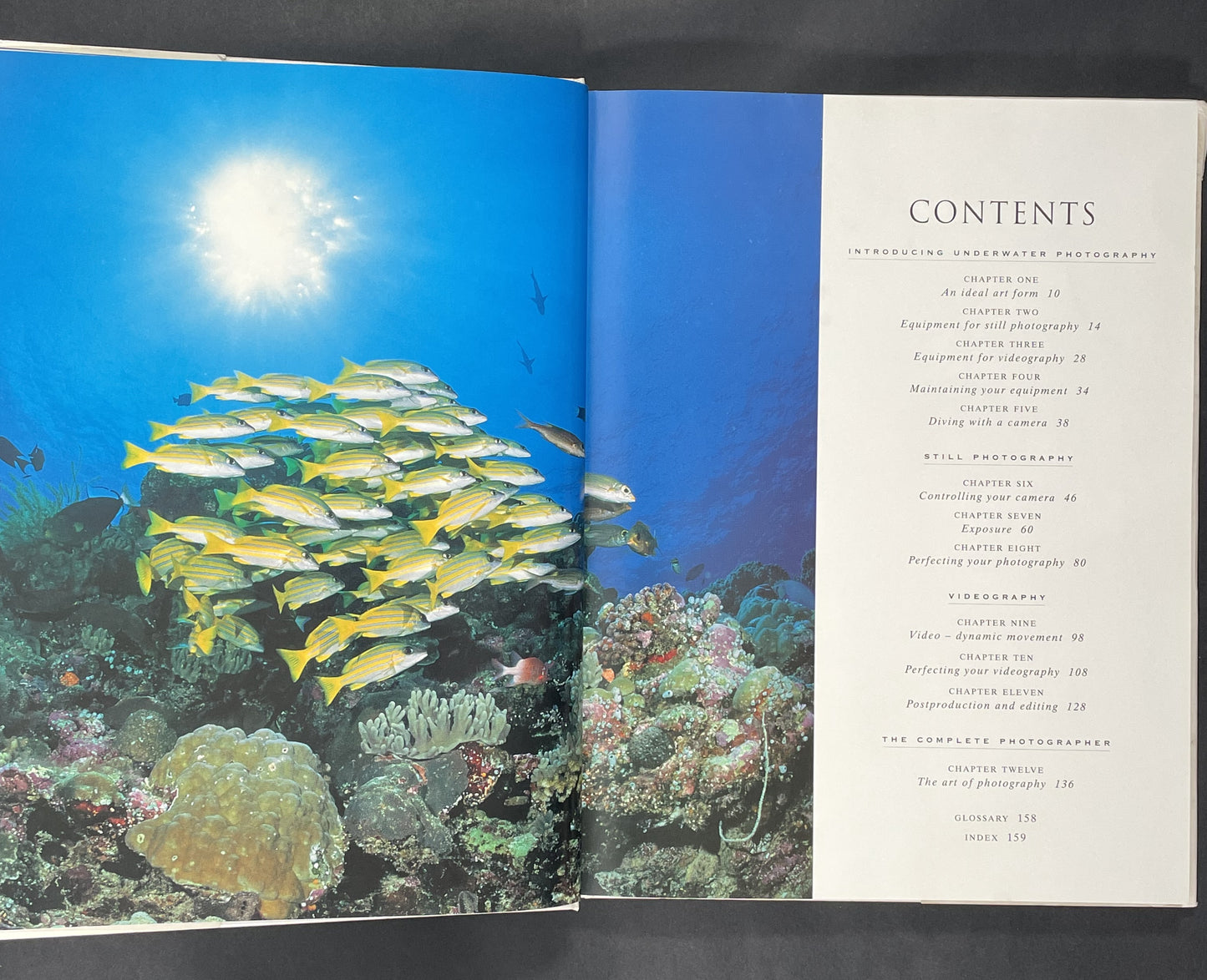 The Underwater Photography Handbook by Annemarie Köhler, Danja Köhler