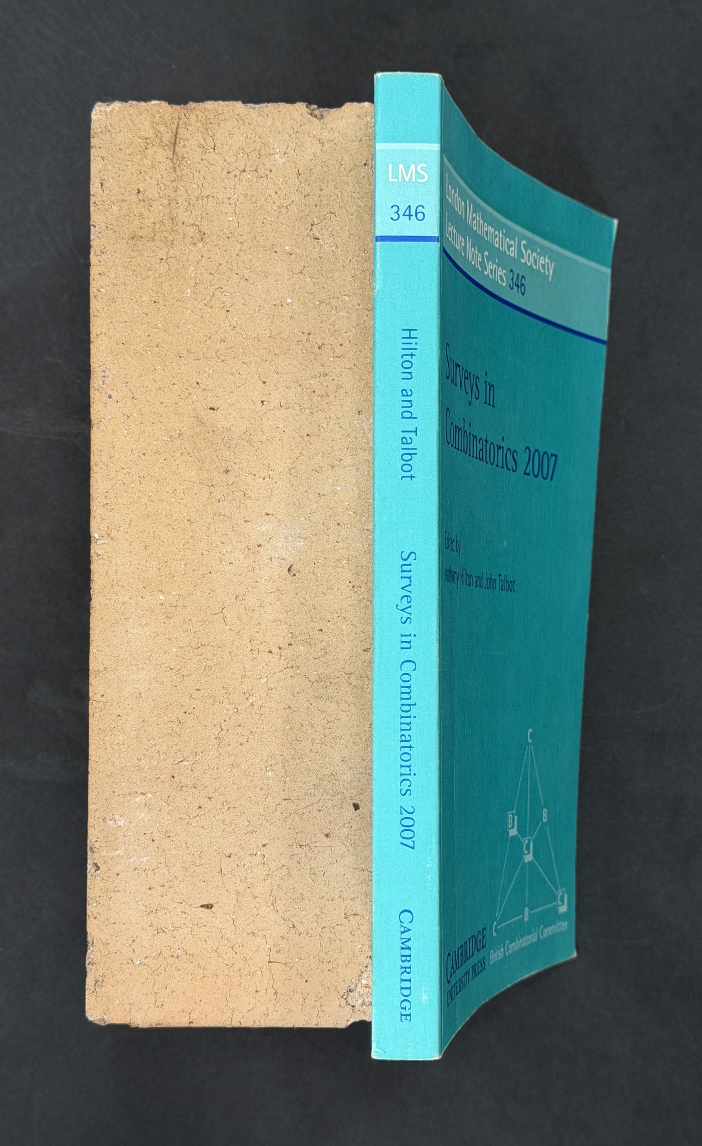 Surveys in Combinatorics 2007 by Anthony Hilton, John Talbot