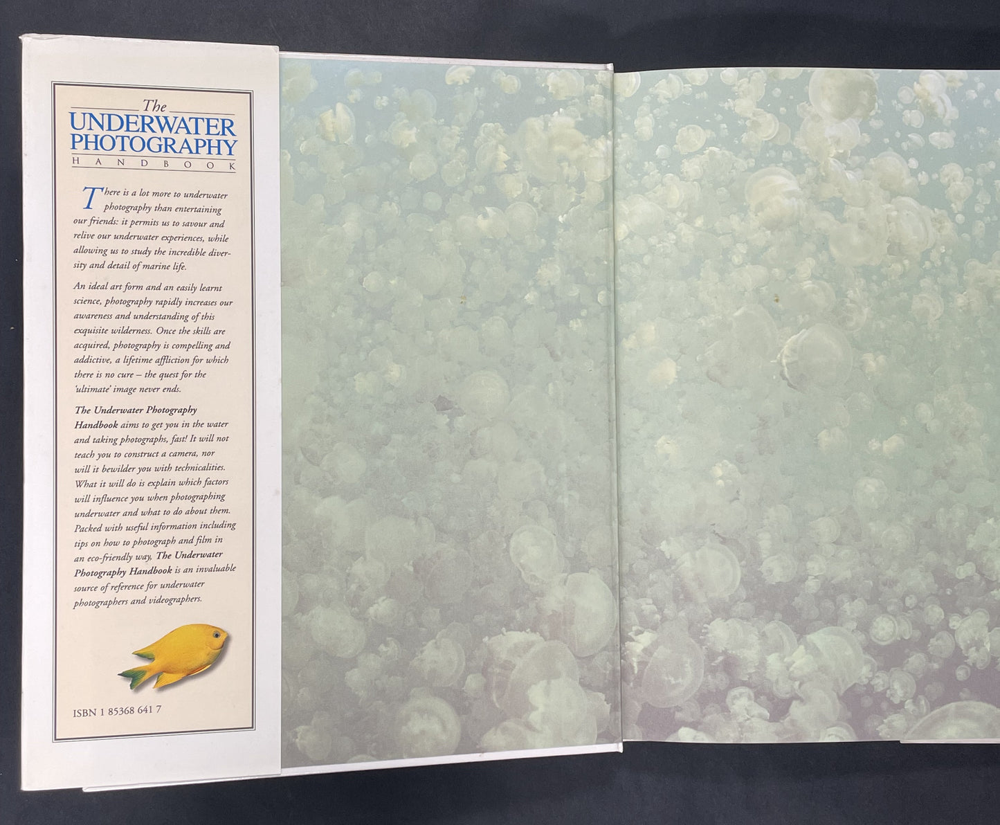 The Underwater Photography Handbook by Annemarie Köhler, Danja Köhler