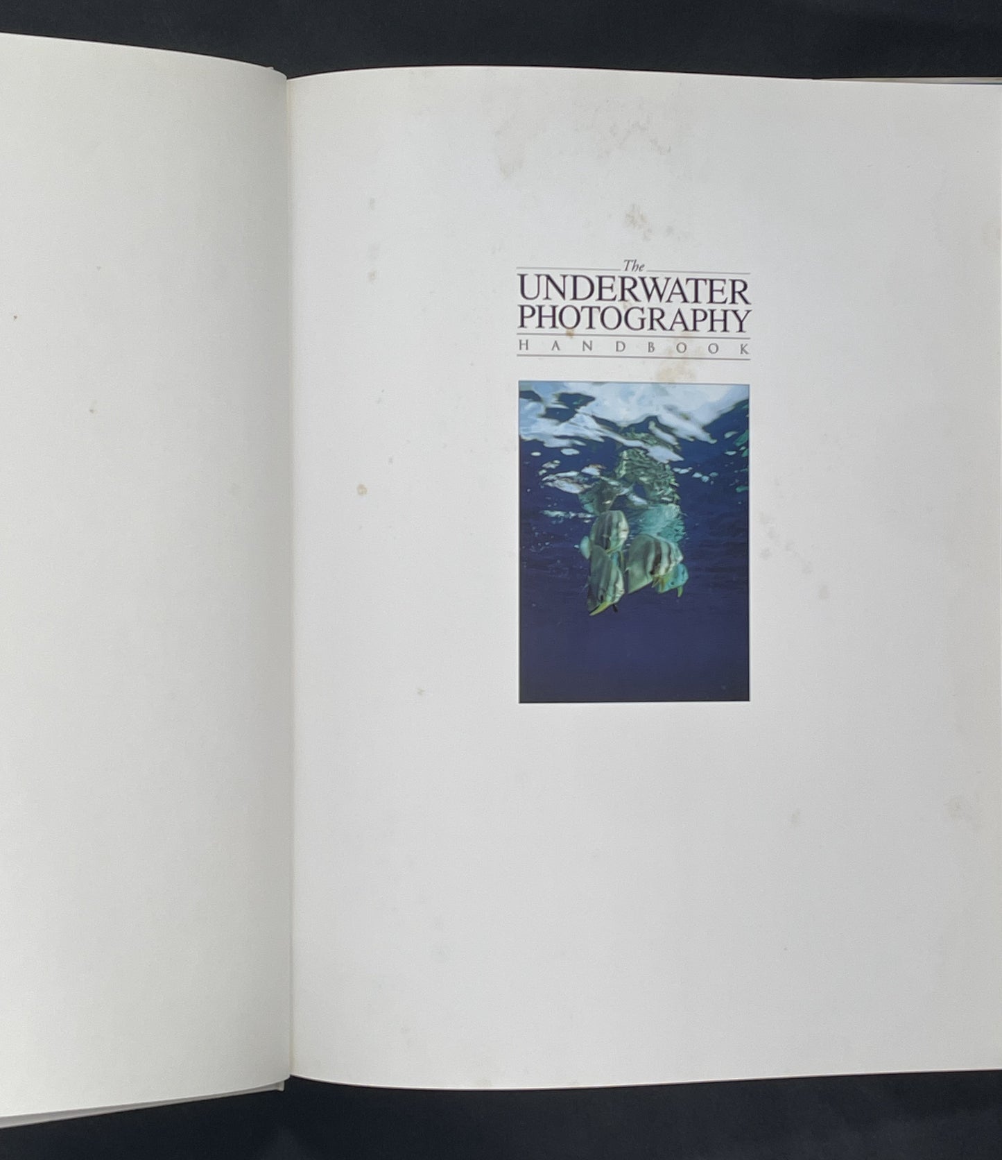 The Underwater Photography Handbook by Annemarie Köhler, Danja Köhler