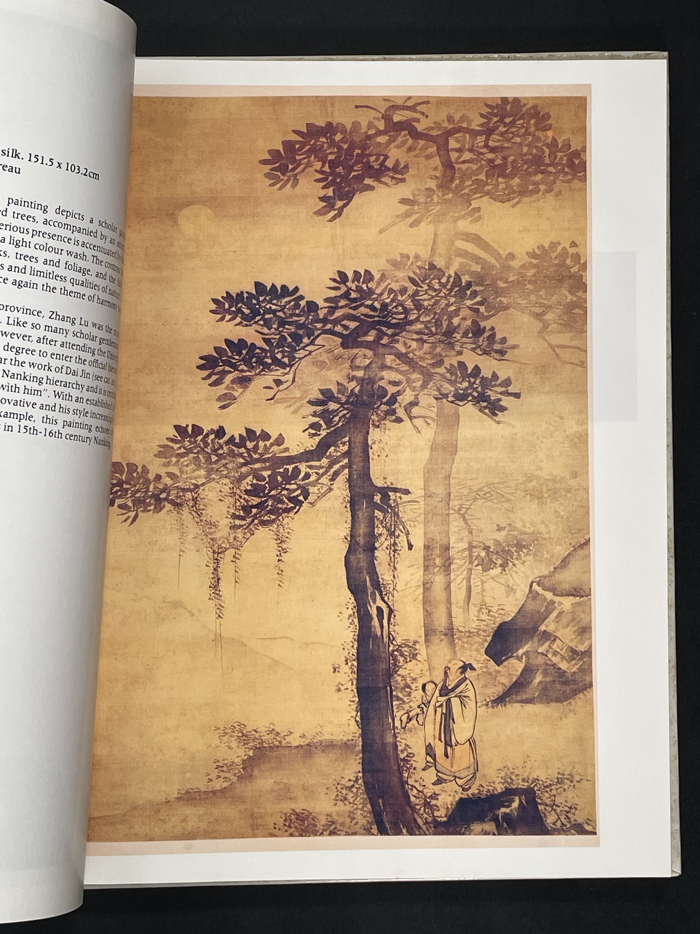 Chinese Paintings of the Ming and Qing Dynasties, 14th-20th Century