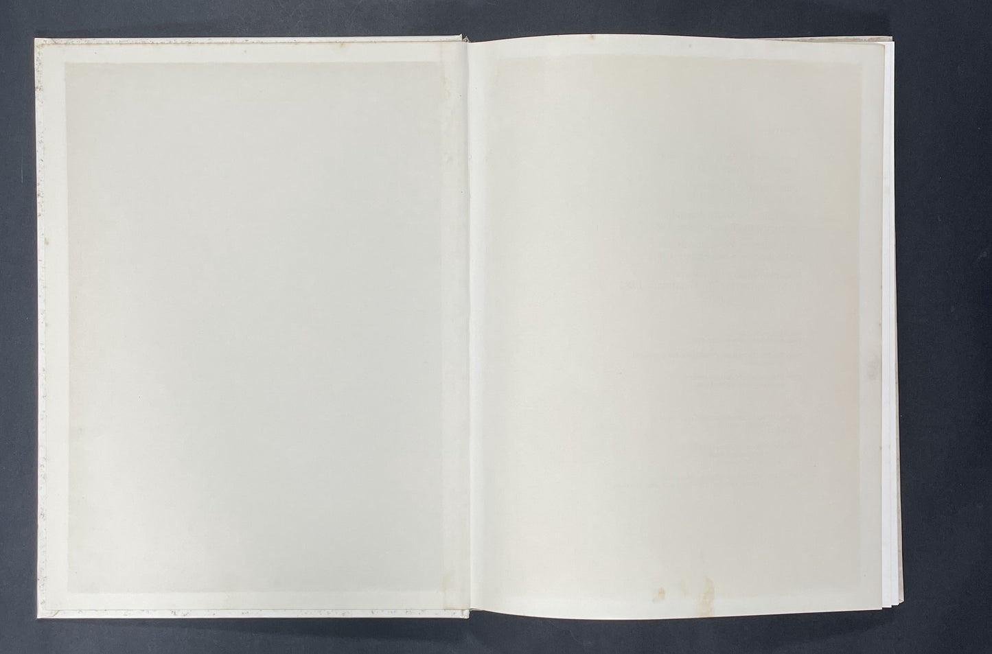 Chinese Paintings of the Ming and Qing Dynasties, 14th-20th Century