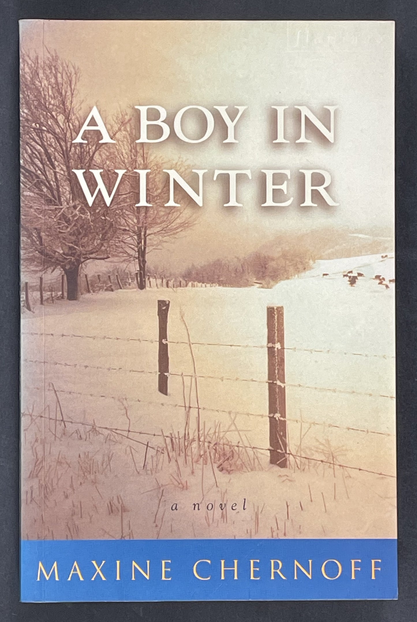 A Boy in Winter by Maxine Chernoff