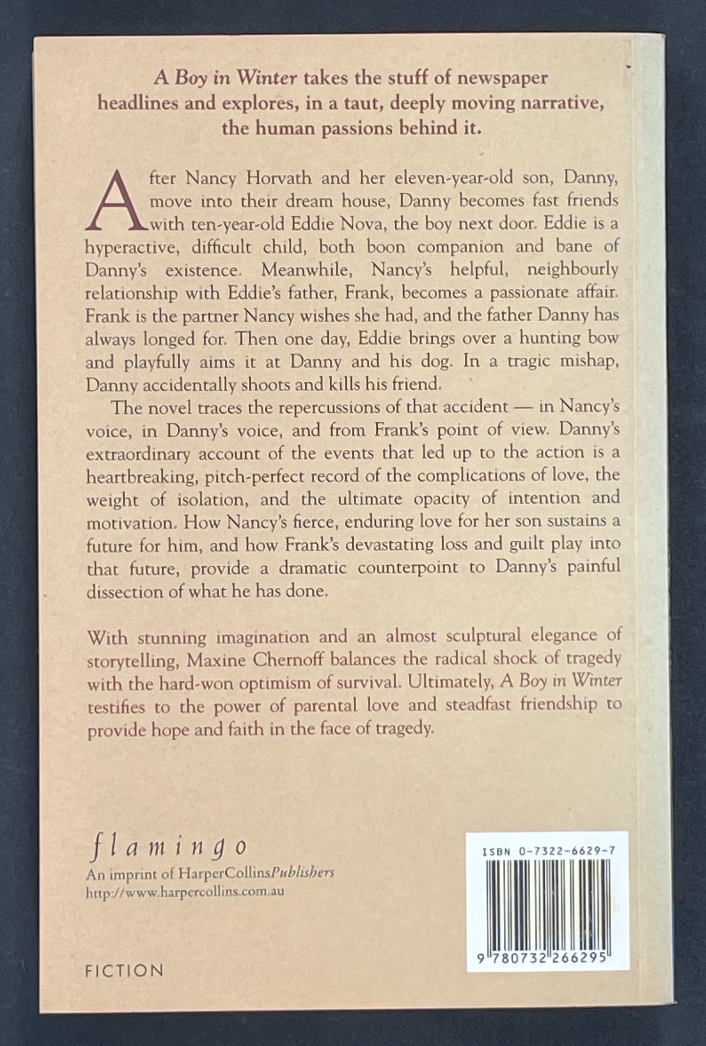 A Boy in Winter by Maxine Chernoff