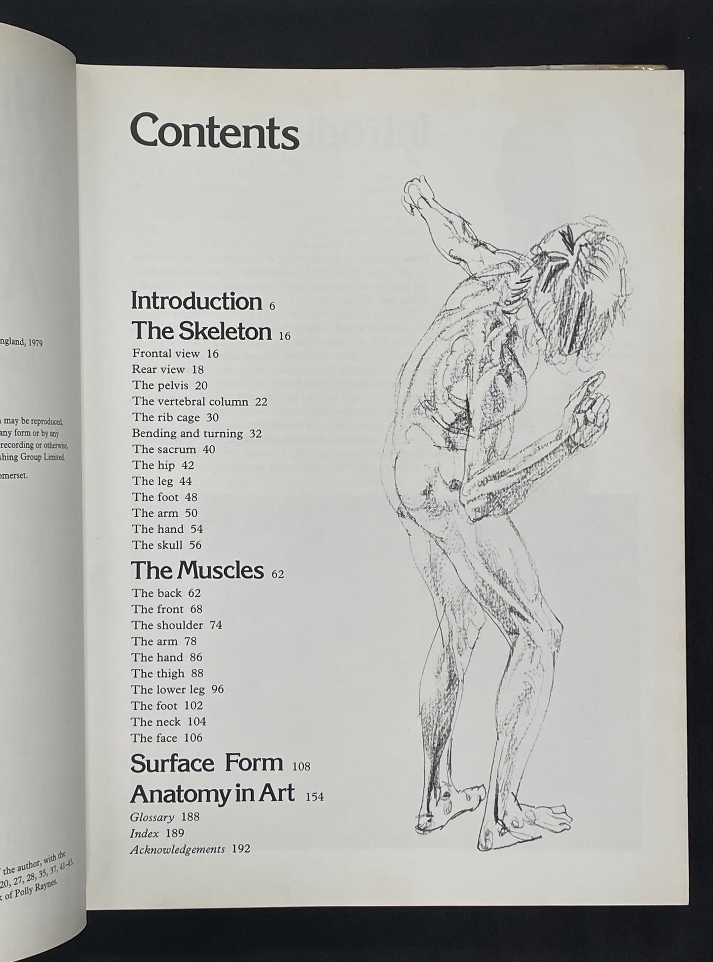 Human Anatomy for the Artist by John Raynes