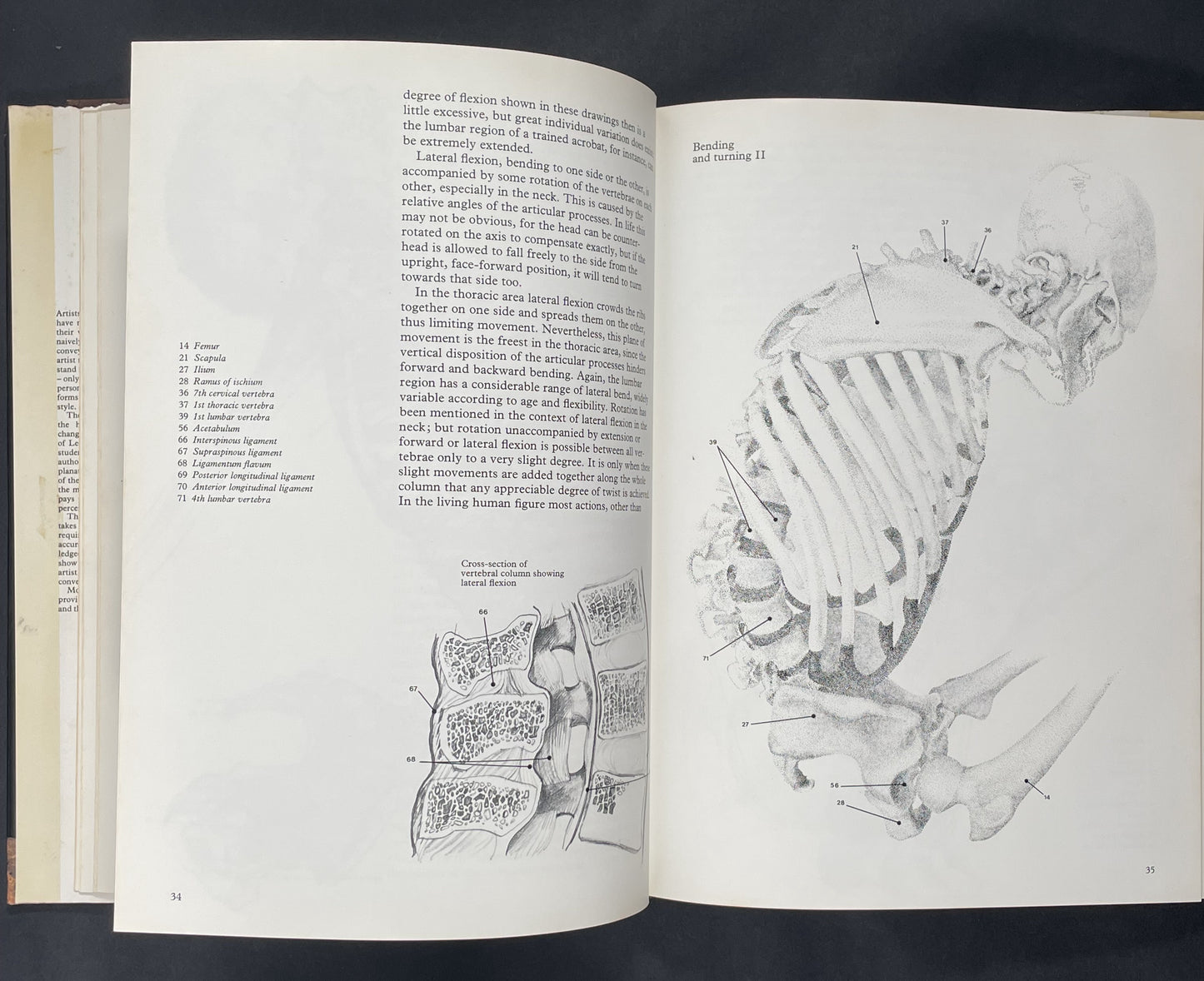 Human Anatomy for the Artist by John Raynes