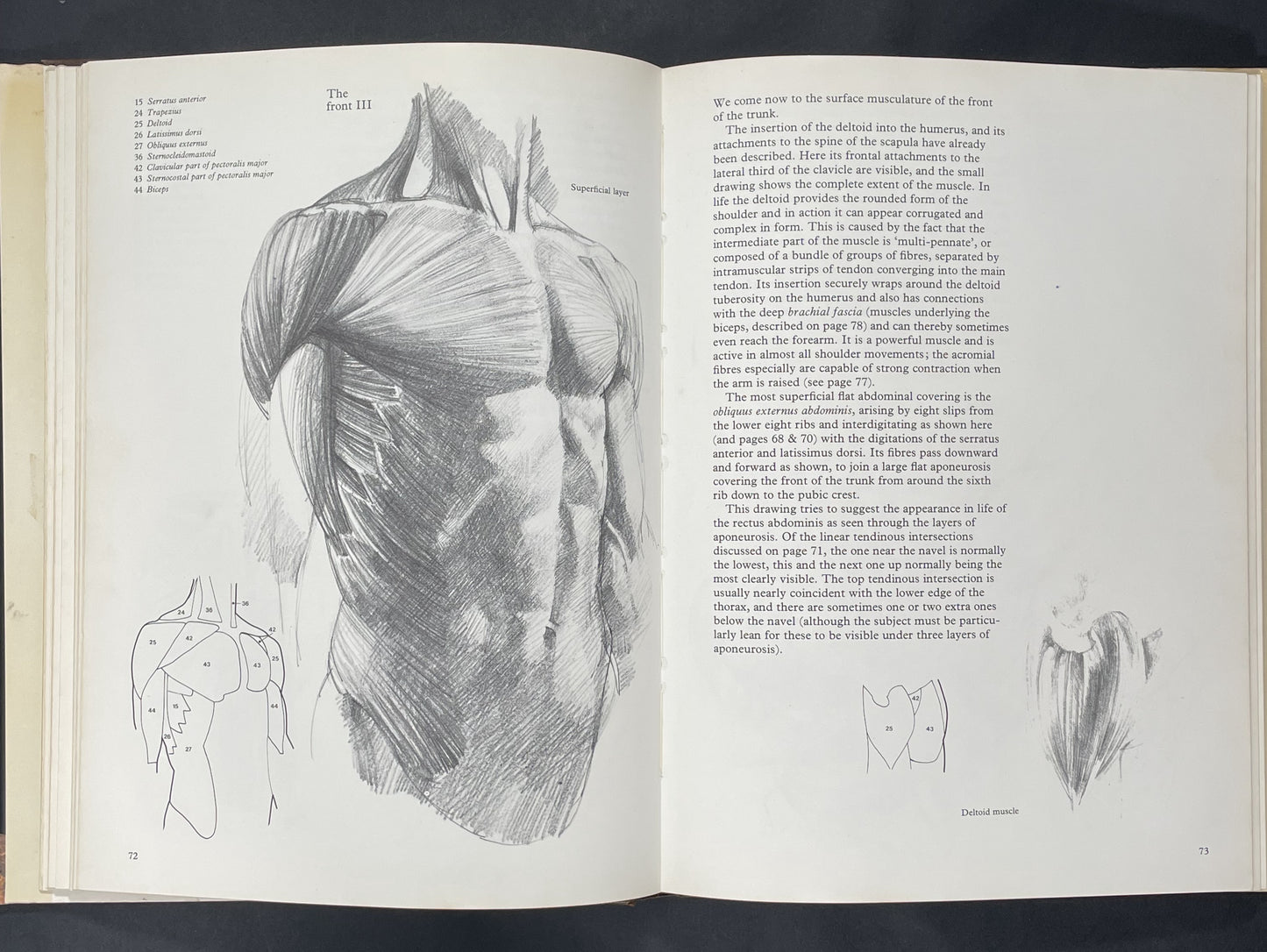 Human Anatomy for the Artist by John Raynes
