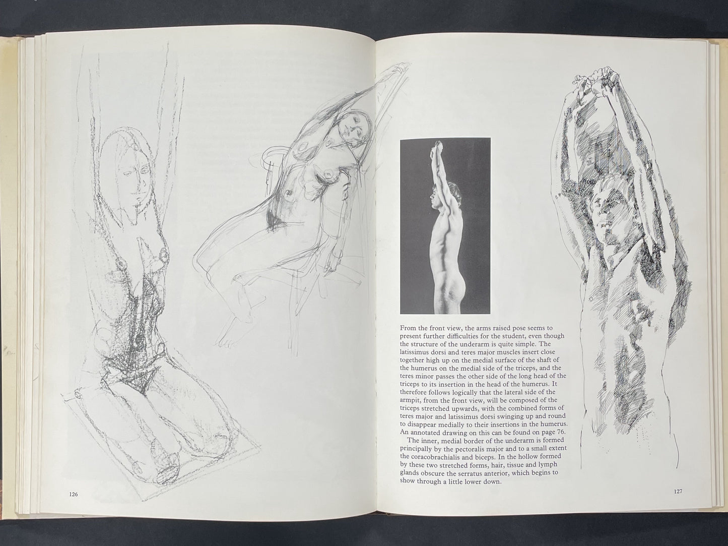Human Anatomy for the Artist by John Raynes