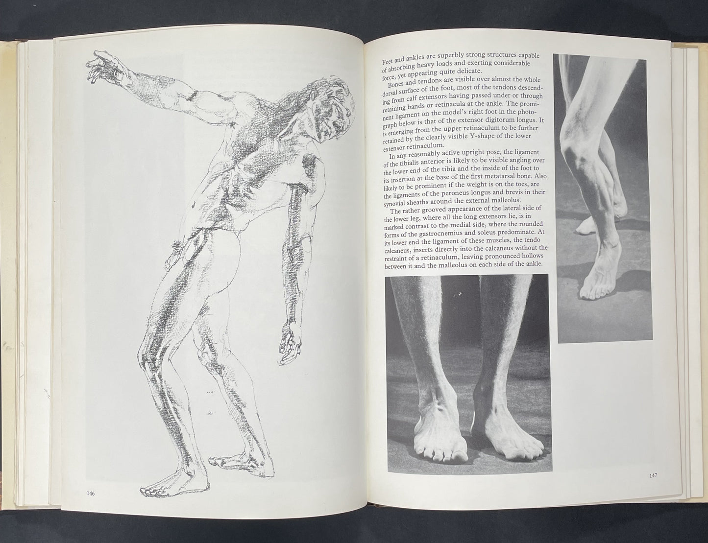 Human Anatomy for the Artist by John Raynes