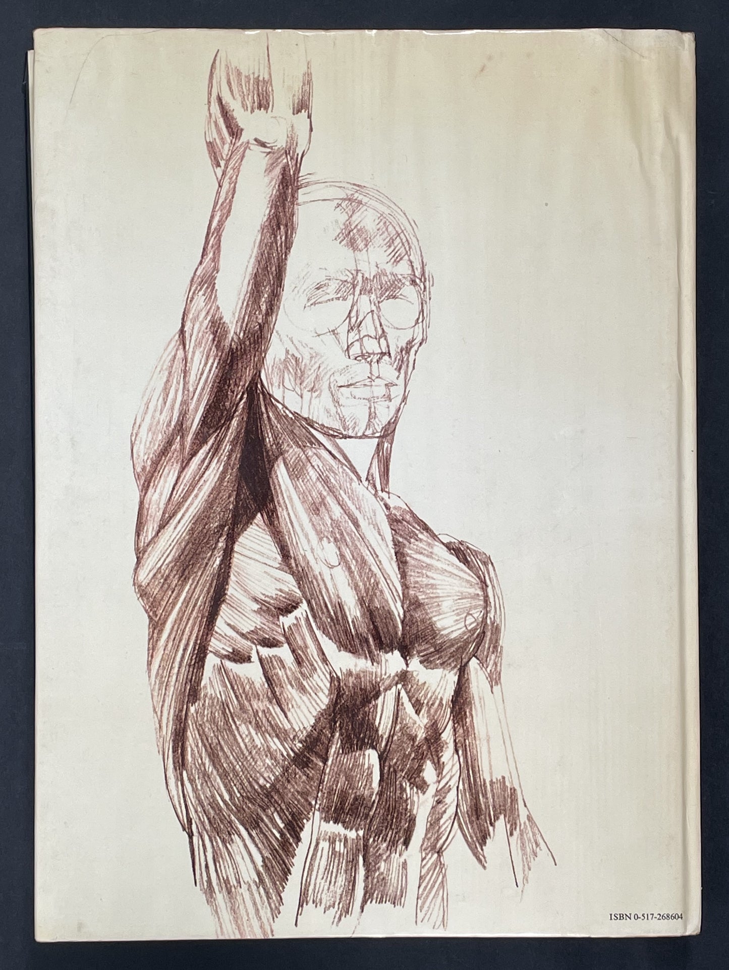 Human Anatomy for the Artist by John Raynes