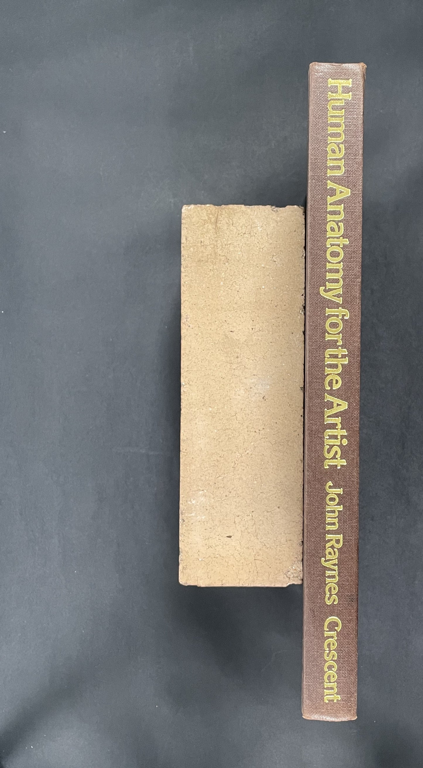 Human Anatomy for the Artist by John Raynes