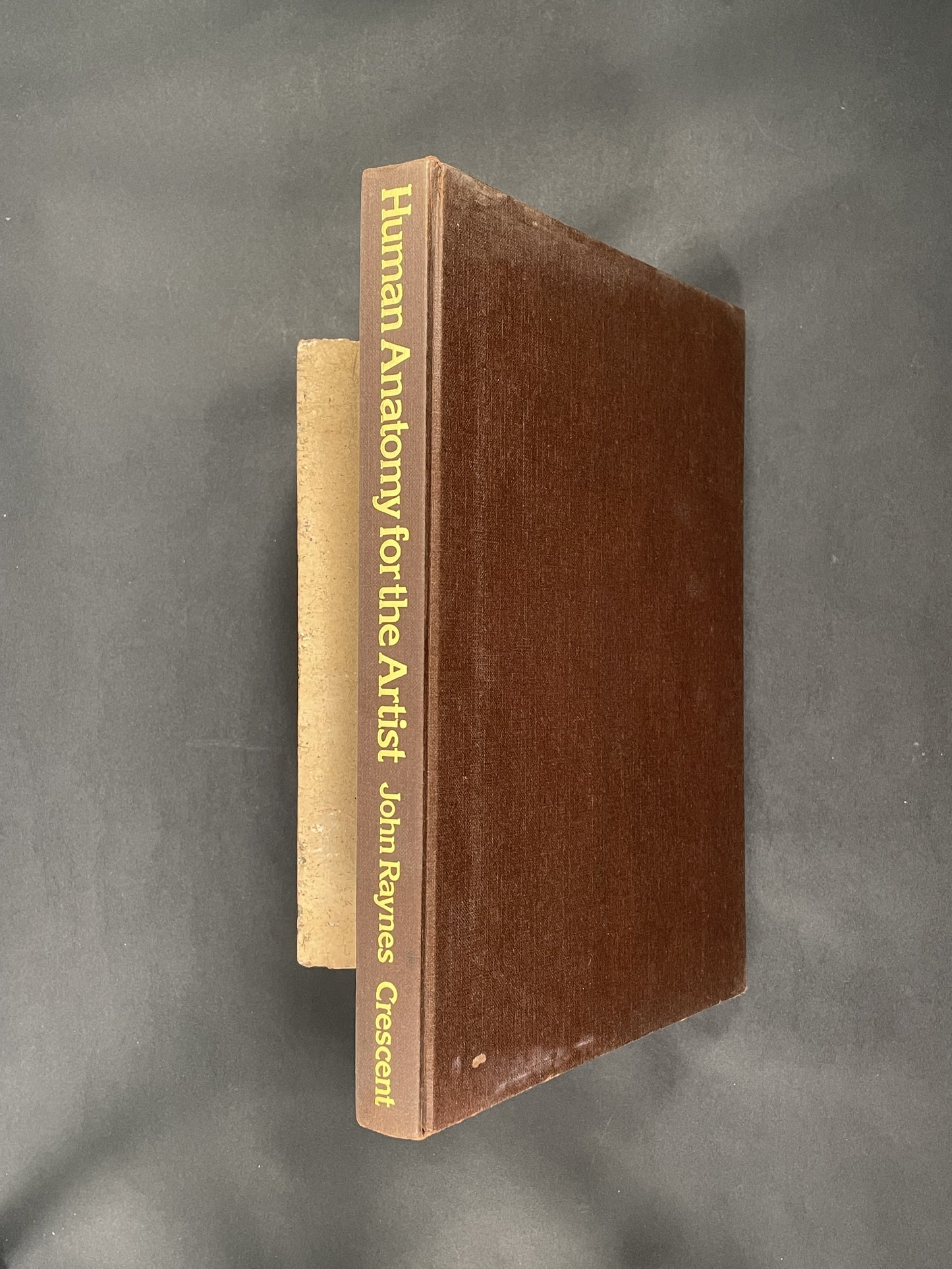 Human Anatomy for the Artist by John Raynes