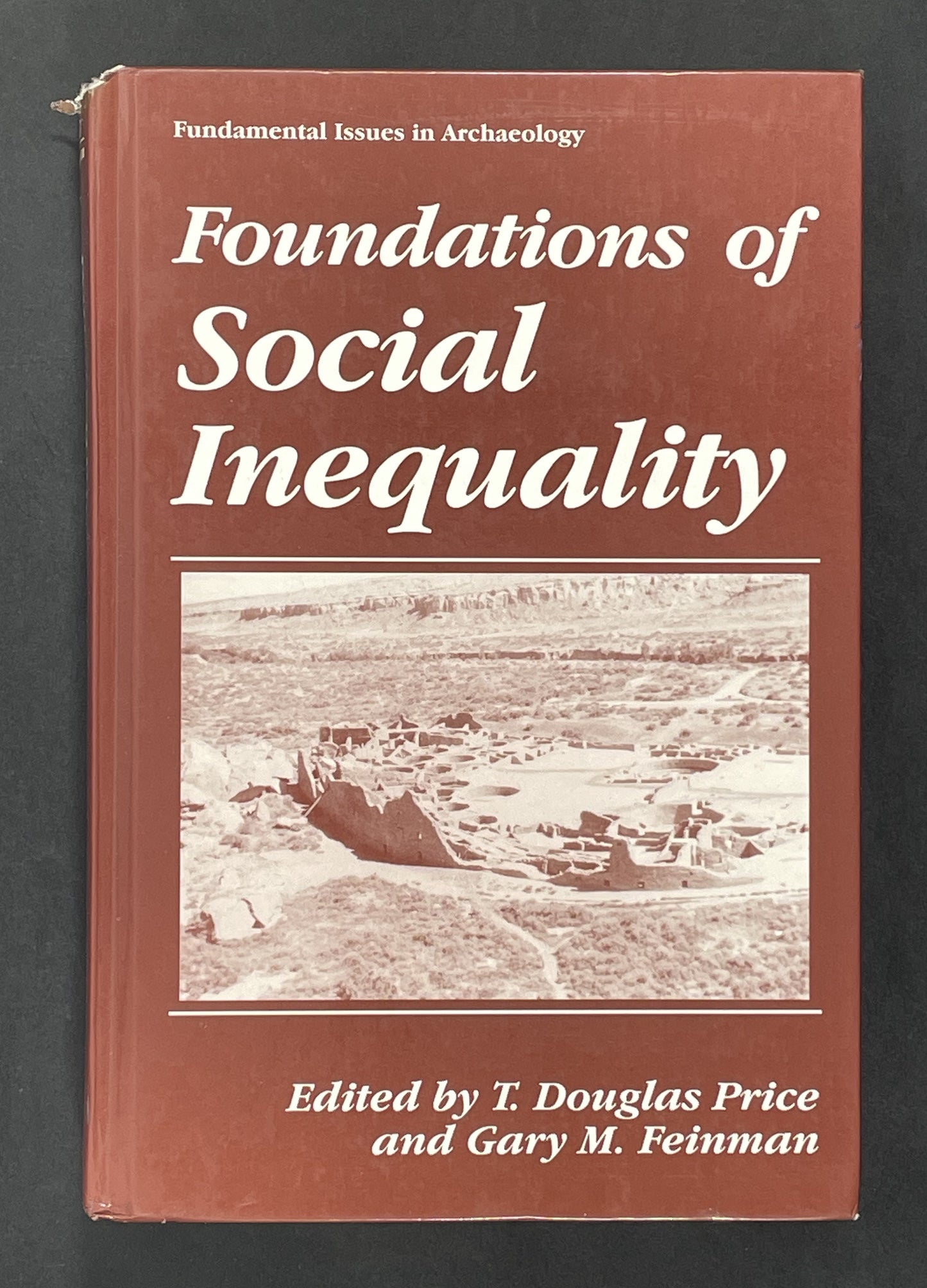 Foundations of Social Inequality by Theron Douglas Price