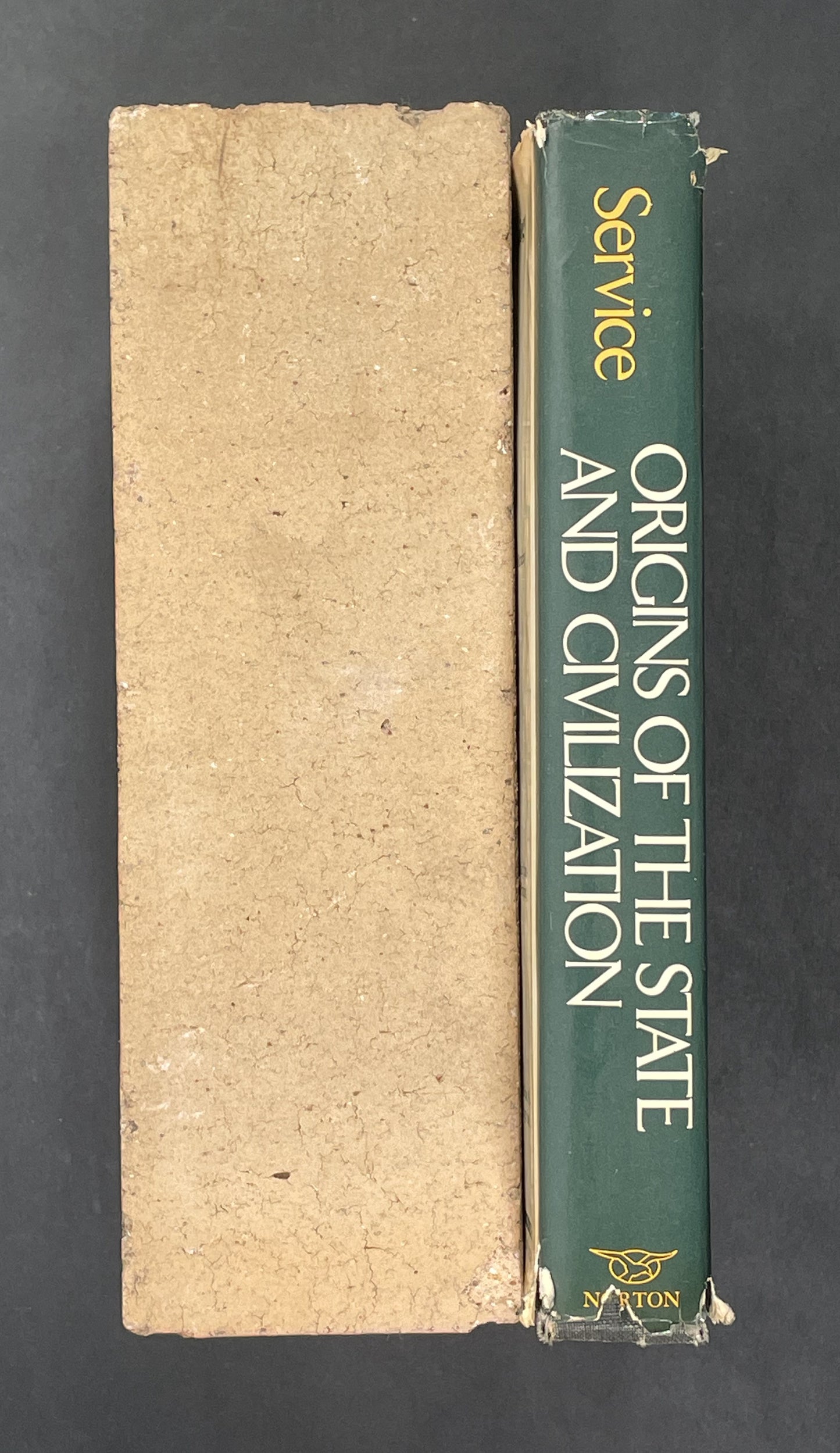 Origins of the State and Civilization by Elman Rogers Service