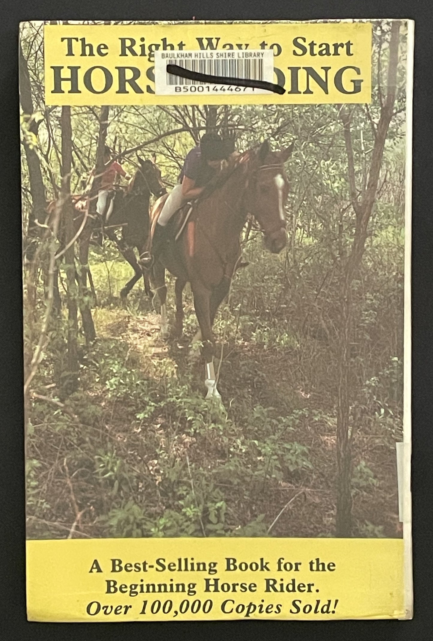 The Right Way to Start Horse Riding by Kurt Hoffman