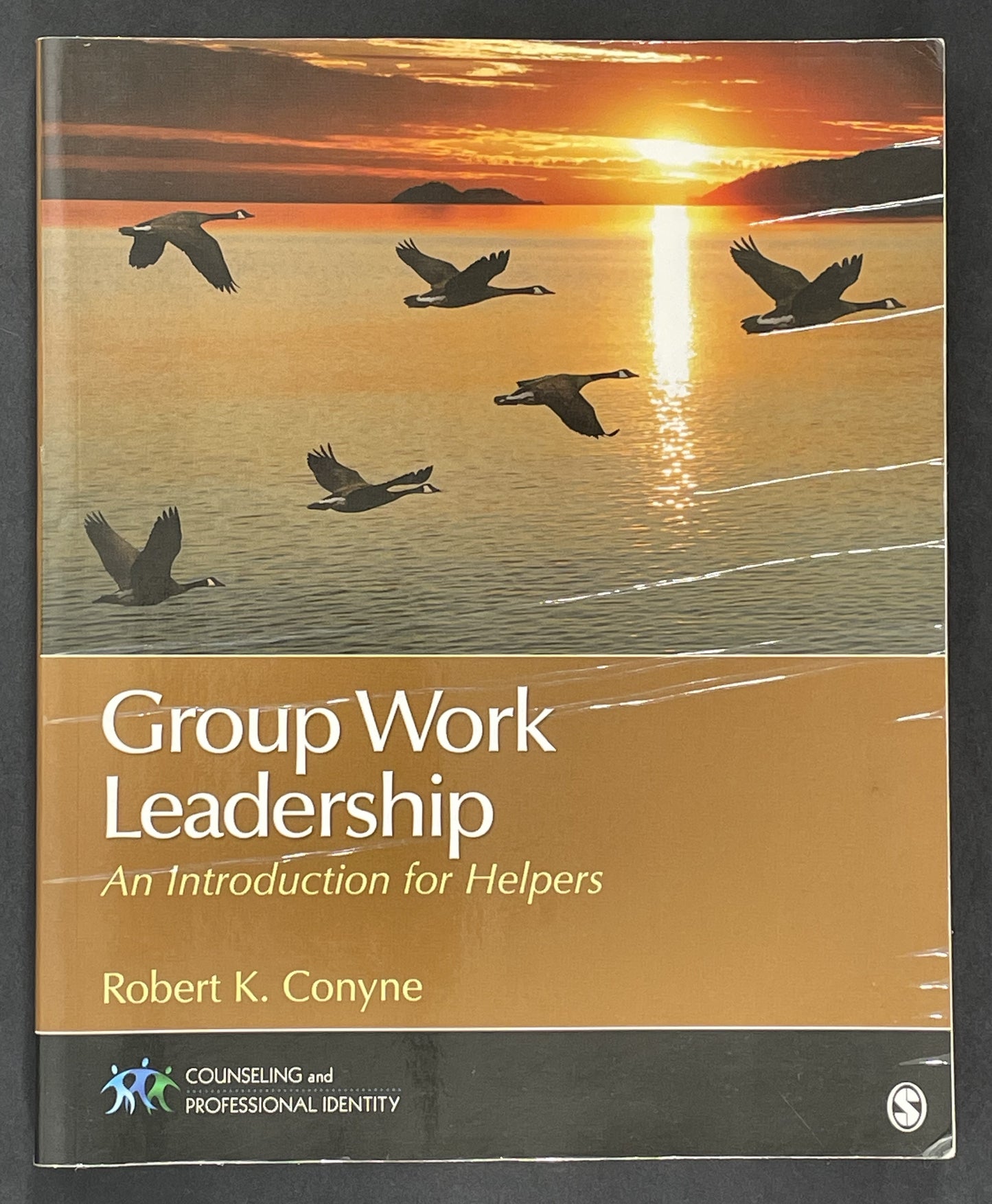 Group Work Leadership by Robert K. Conyne